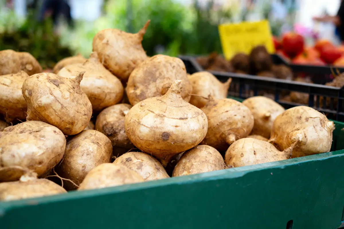 Tas de jicamas bruns dans une caisse verte, au marché, arrière-plan flou.