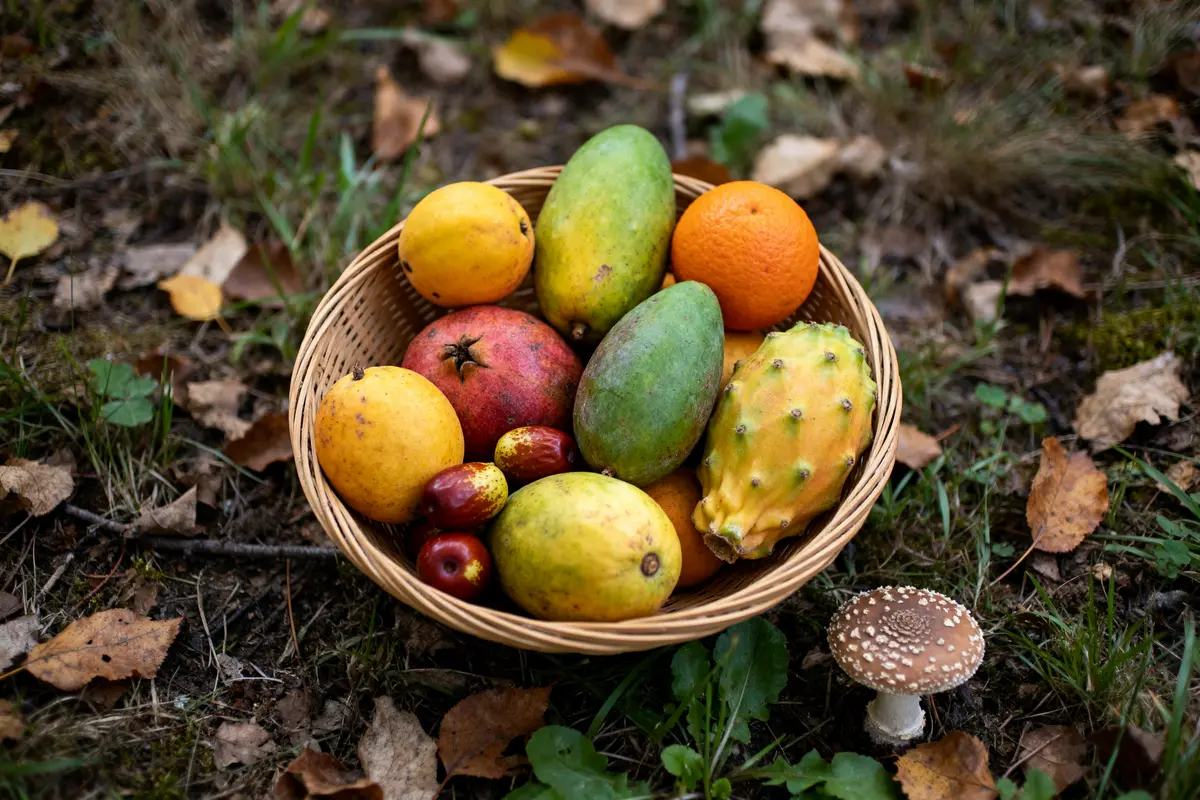Fruits en Z : liste complète, bienfaits et saveurs à découvrir